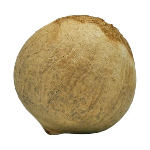 Pipa Ud