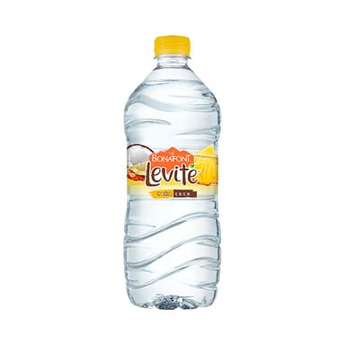 LEVITÉ PIÑA COCO 1L N