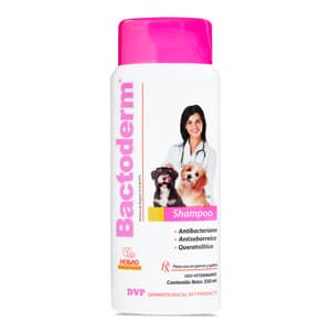 Hollad Bactoderm Shampoo Antibacteriano, Antiseborreico y Qu