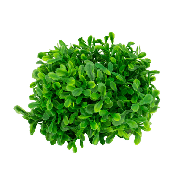 Pasto Circular Decorativa 13 cm
