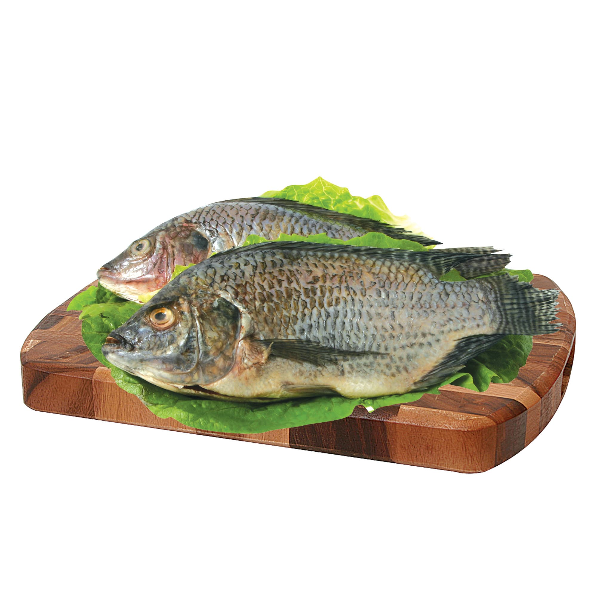 Mojarra Tilapia Entera 1800 grs