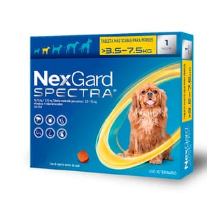 Nexgard Spectra 3.6-7.5 Kg (Amarillo) 1 Masticable