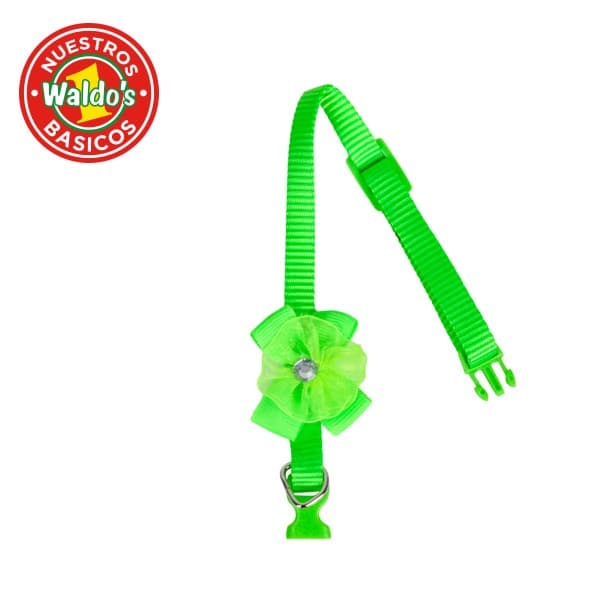 Collar Para Gato Color Verde