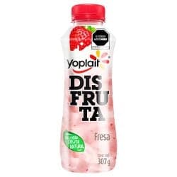 DISFUTA BEBER FRESA  307 GR