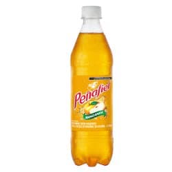 PENAFIEL MANZANITA 600ML               .