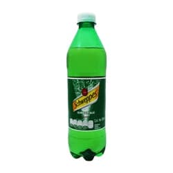 SCHWEPPES GINGER ALE 600ML             .