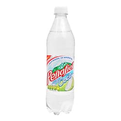 Peñafiel Agua mineral sabor con agua de coco