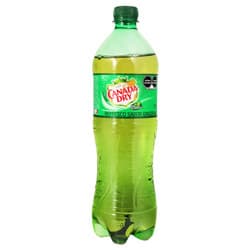 CANADA DRY PET 1L
