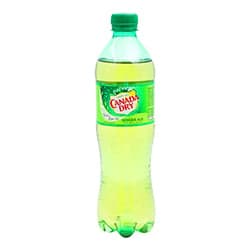 CANADA DRY 600 ML GA