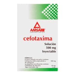 Cefotaxima Solución Inyectable 500 mg 1 Ampolletas