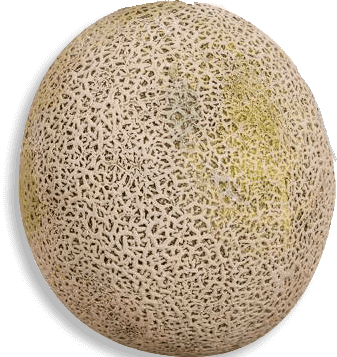 Ap Melon Chino Mediano S/Marca 1500 grs