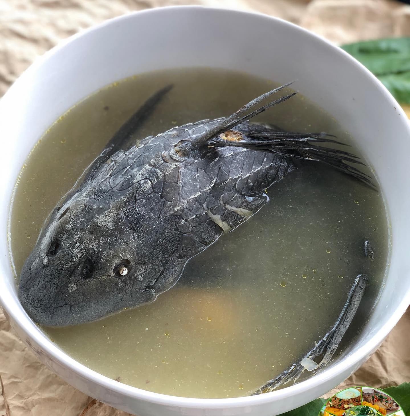 Chilcano de Carachama