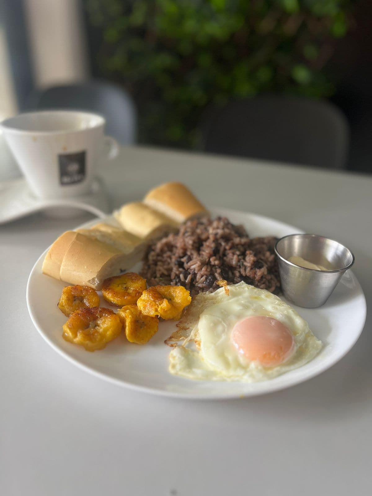 Desayuno Capu Alto