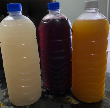 Agua de Guanabana 1 lt.