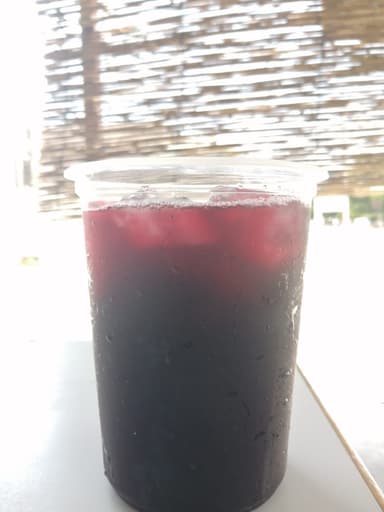 Agua Artesanal de Jamaica