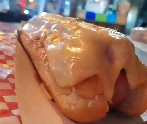 Perro Sencillo.