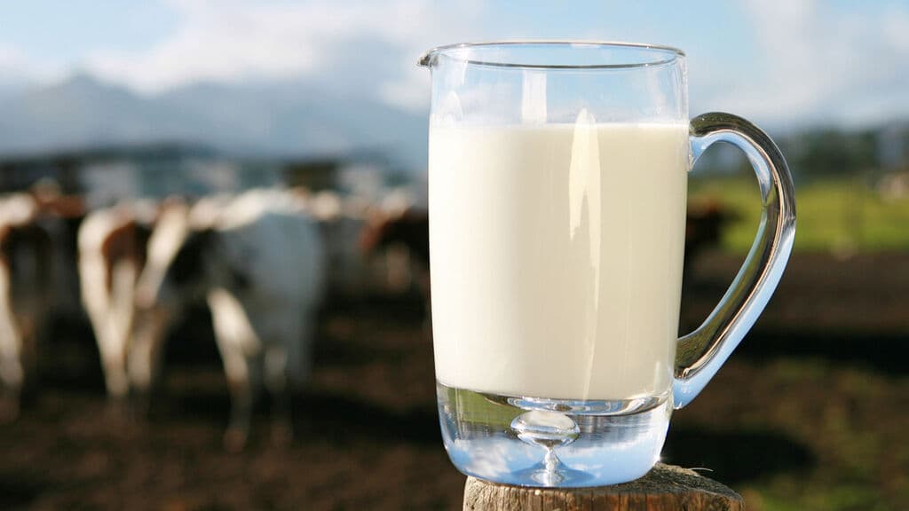 Leche de Almendra