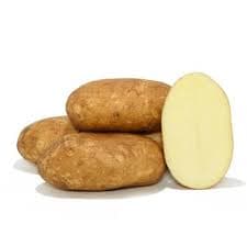 PAPA RUSSET KG