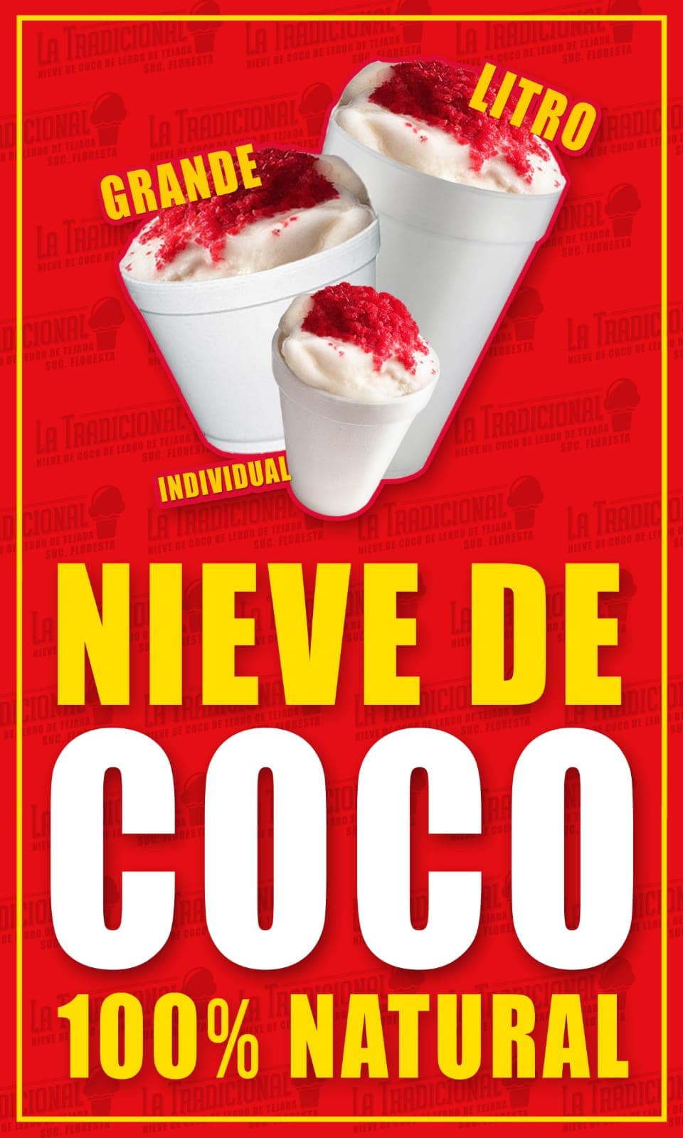 Nieve de Coco Familiar