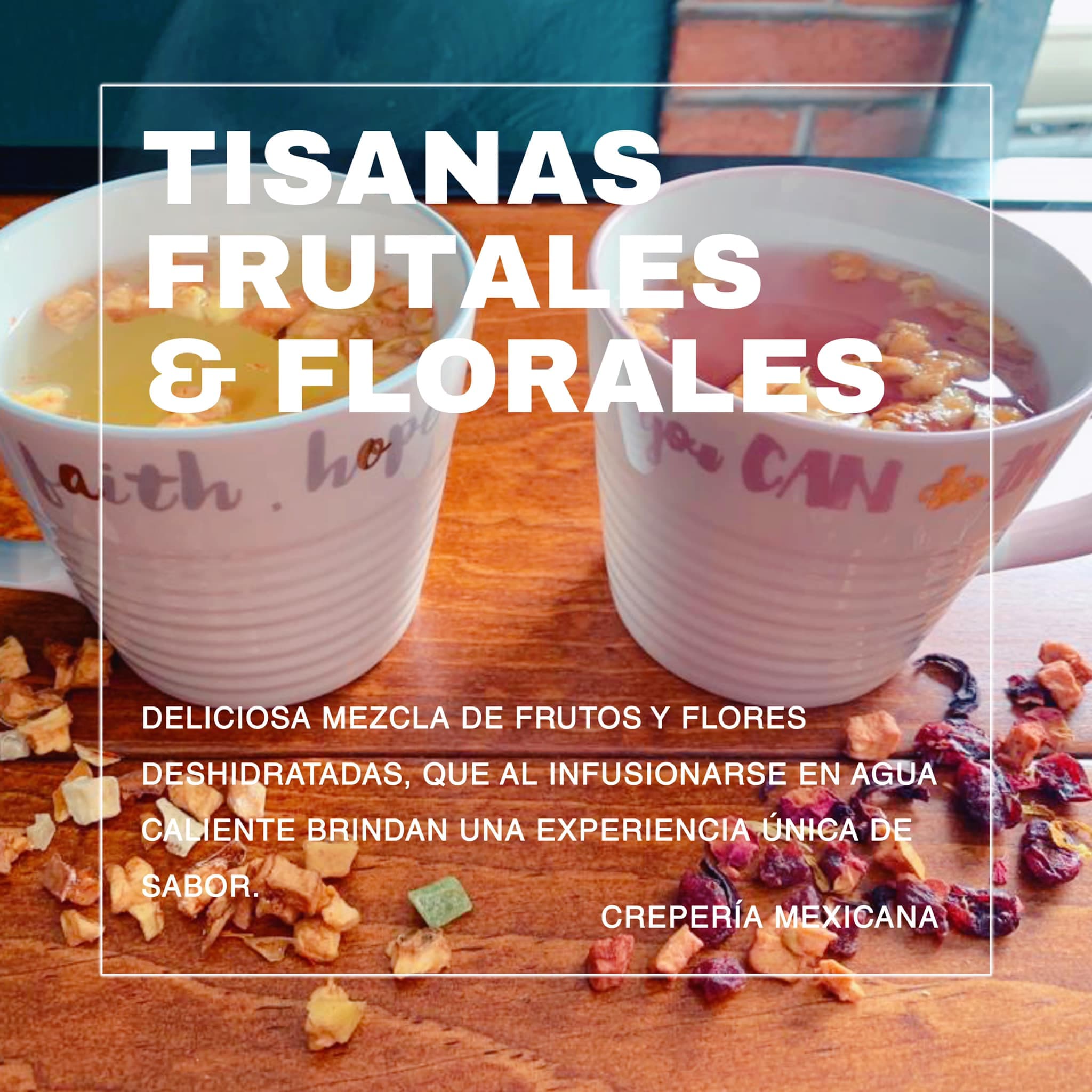 Tisana Fría 16oz