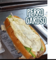 PERRO GAROSO (Promo)
