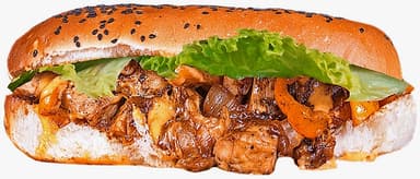 The Submarine Miyagi San