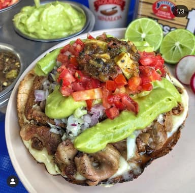 Vampiro de Tripa