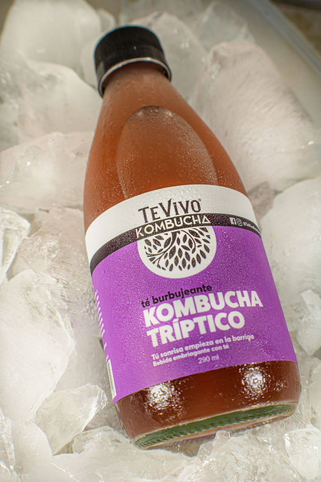 Te de kombucha triptico