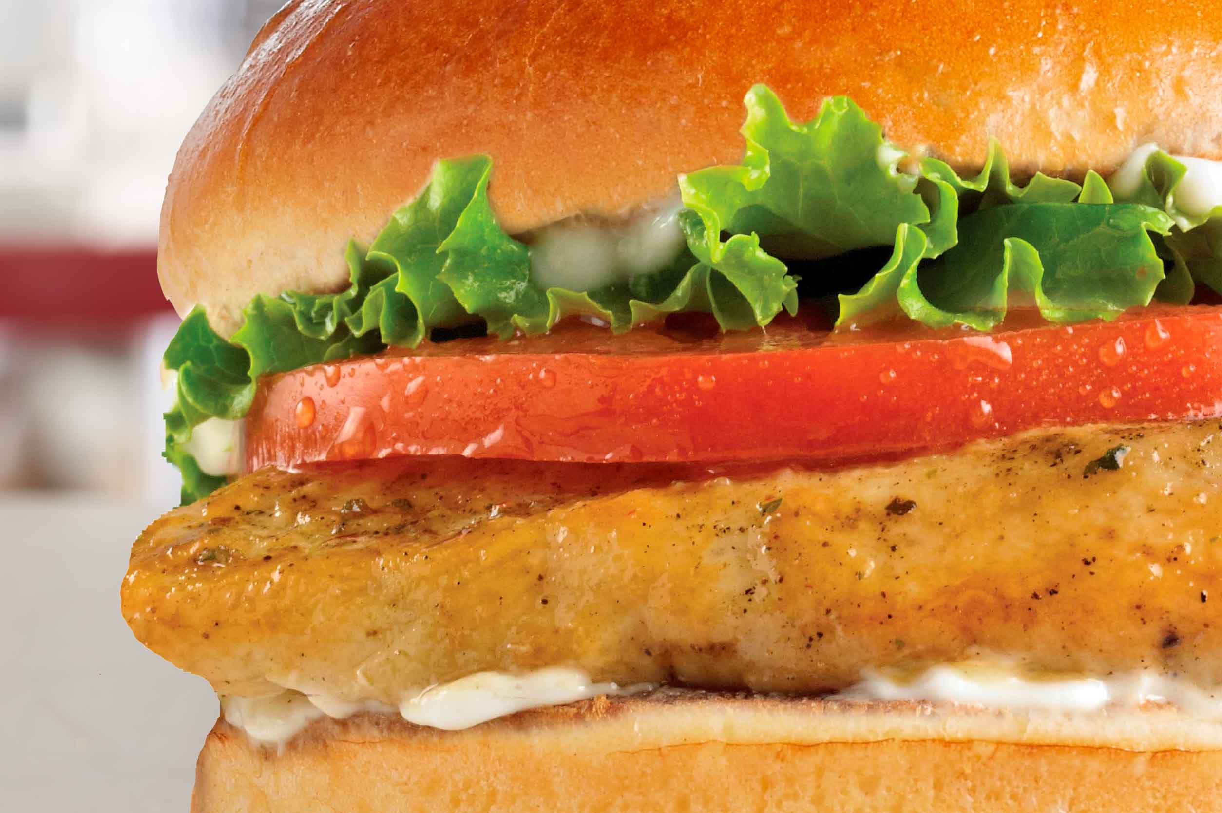 Grilled Chicken Breast Sándwich