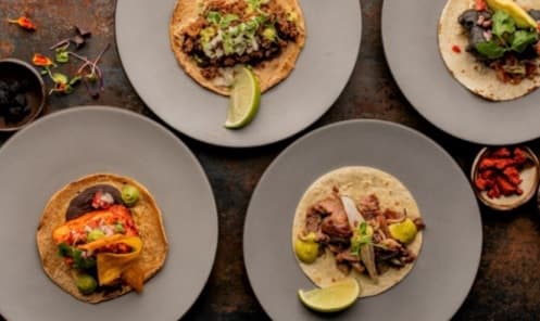 Tacos de Carnitas