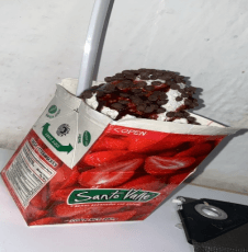 Fresas con Crema Congelada