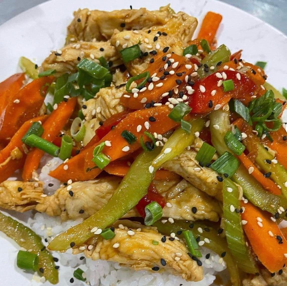 Teriyaki Platillo