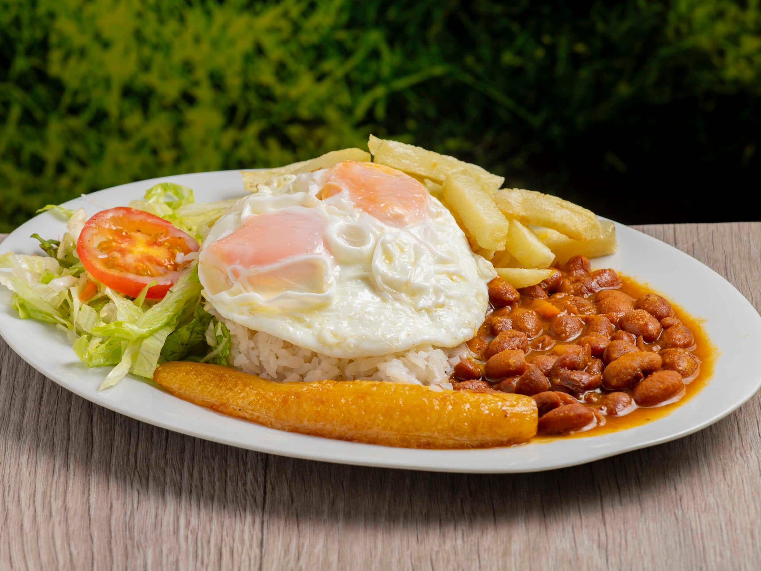 Bandeja Huevo