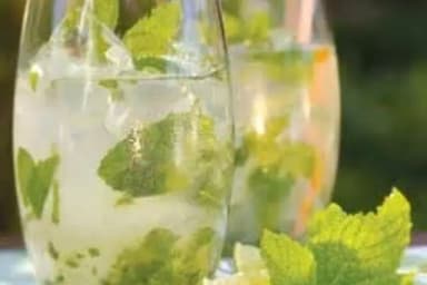 Mojito Bacardi