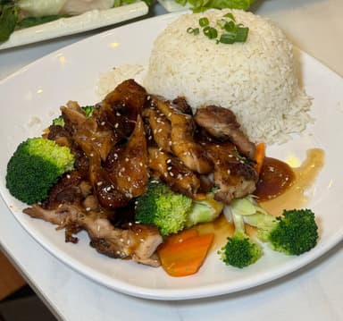 Teriyaki de Pollo