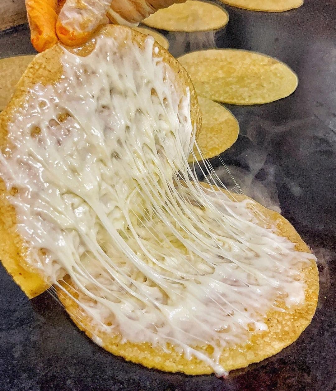 Quesadilla de Maíz Sencilla
