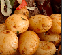 Orden de Papas