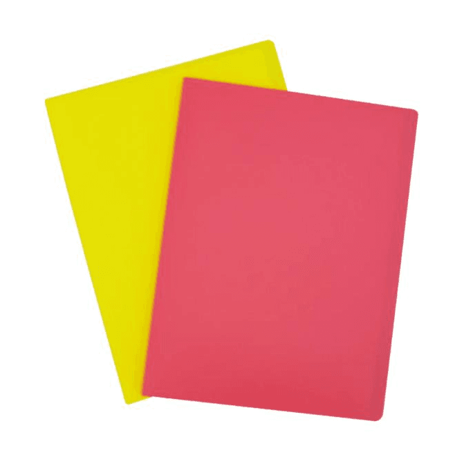 Folder con 20 Hojas Protectores