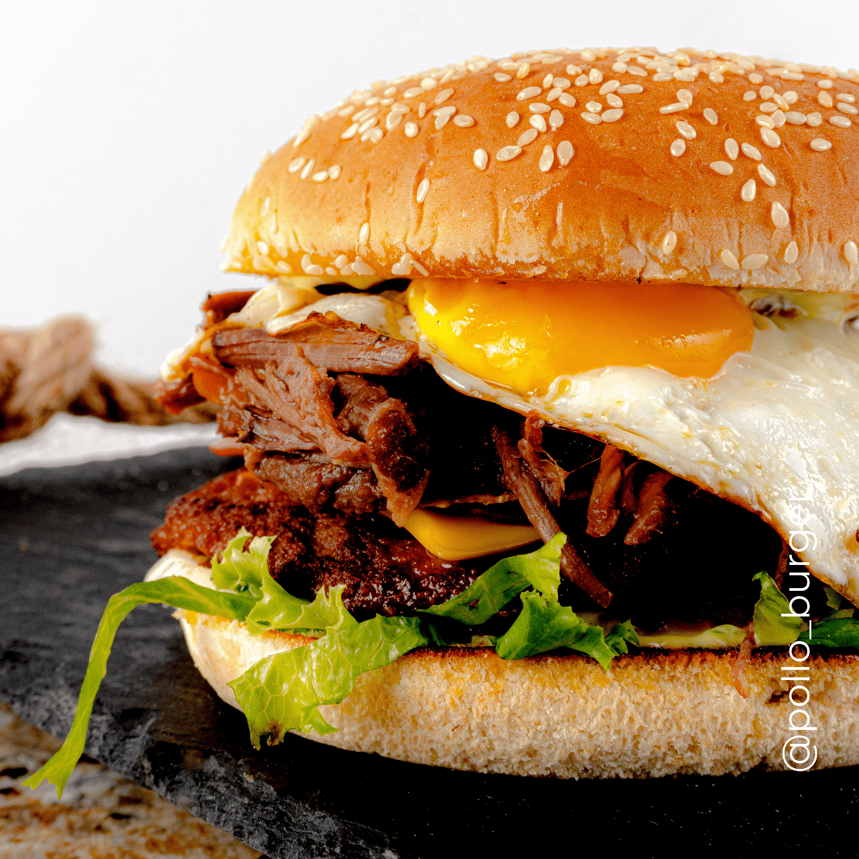 Hamburguesa de la Casa
