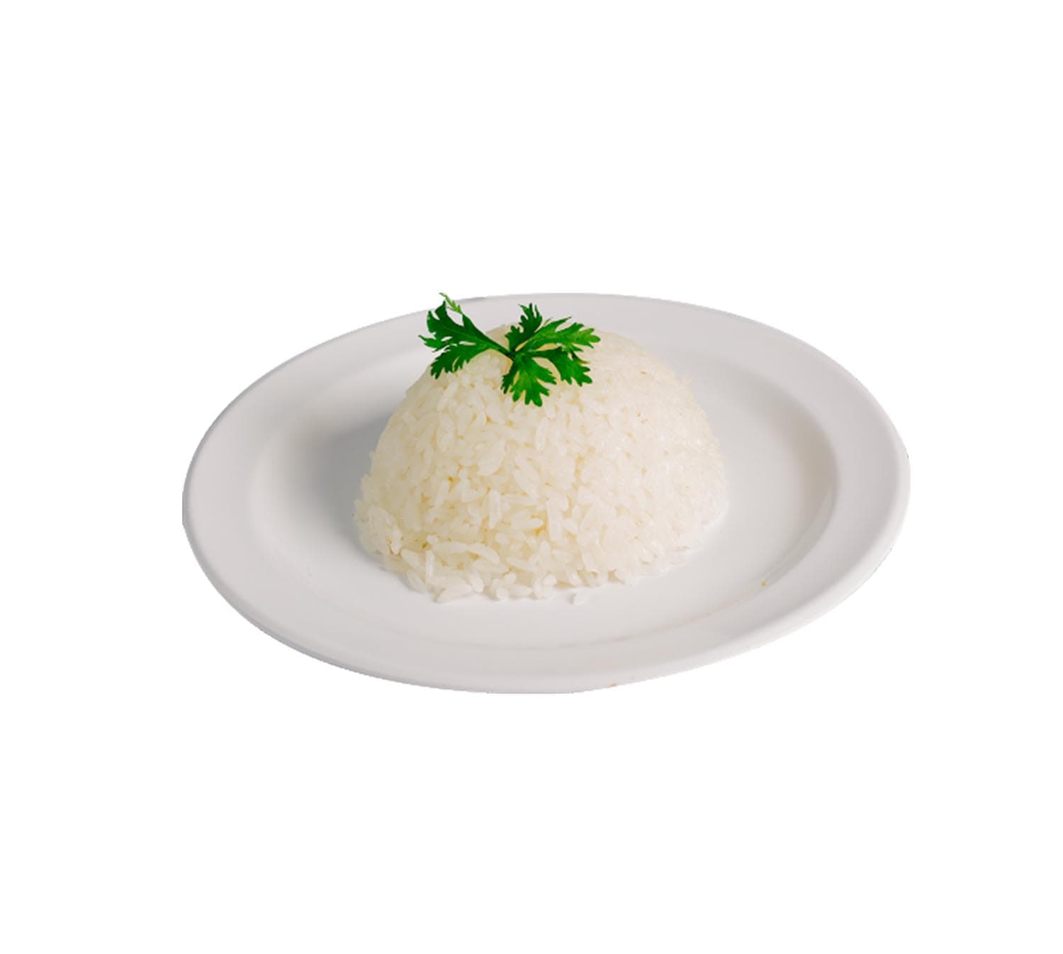 Porción de Arroz