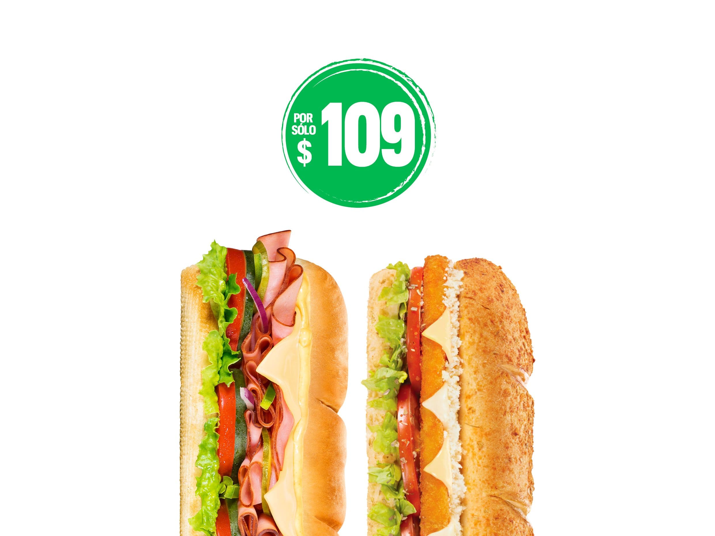 Elige por $109: 2 Subs 15cm