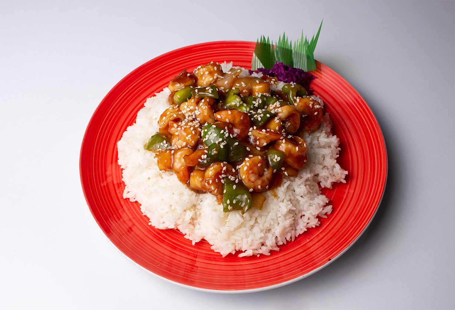 Teriyaki de Pollo