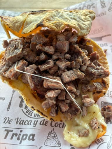 Vampiro de Vaca