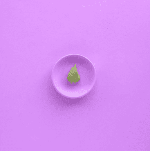 Wasabi
