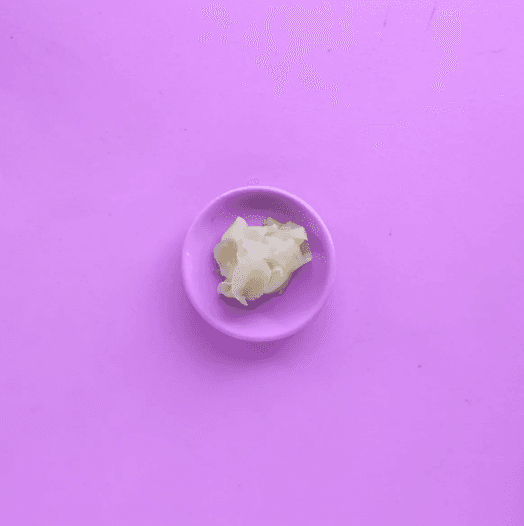 Gari