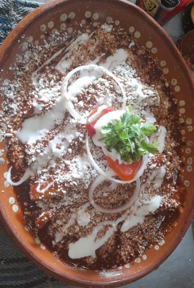 Enchipotladas de Pollo