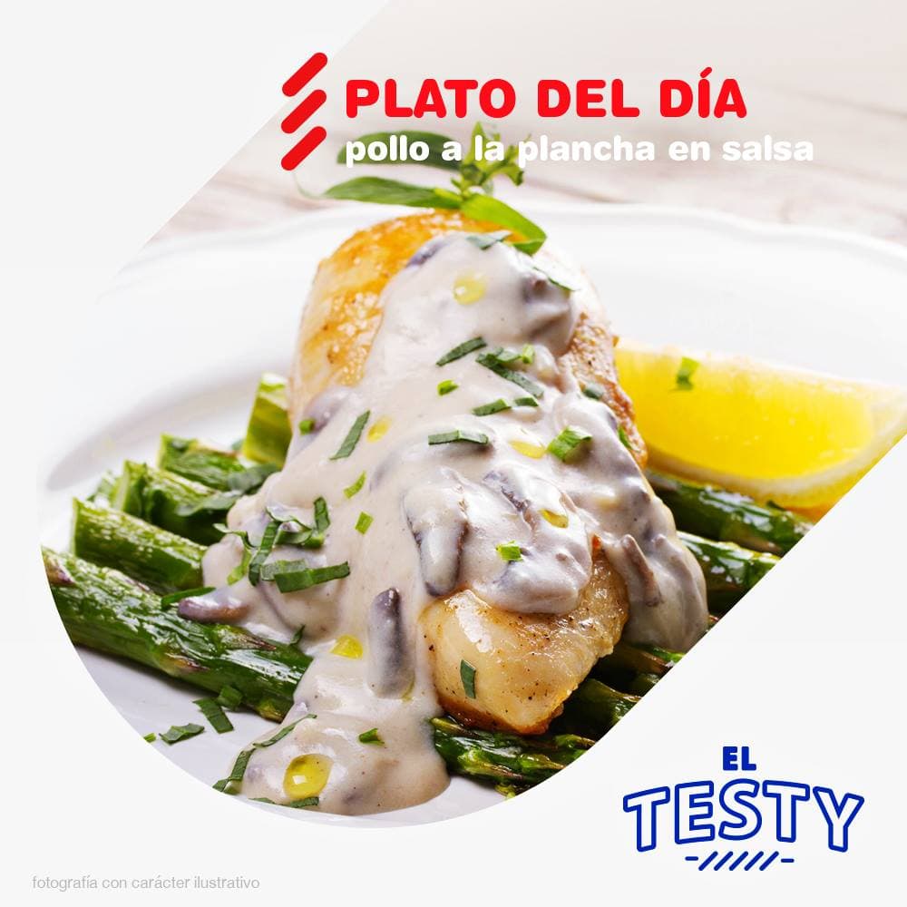 Testy Pollo