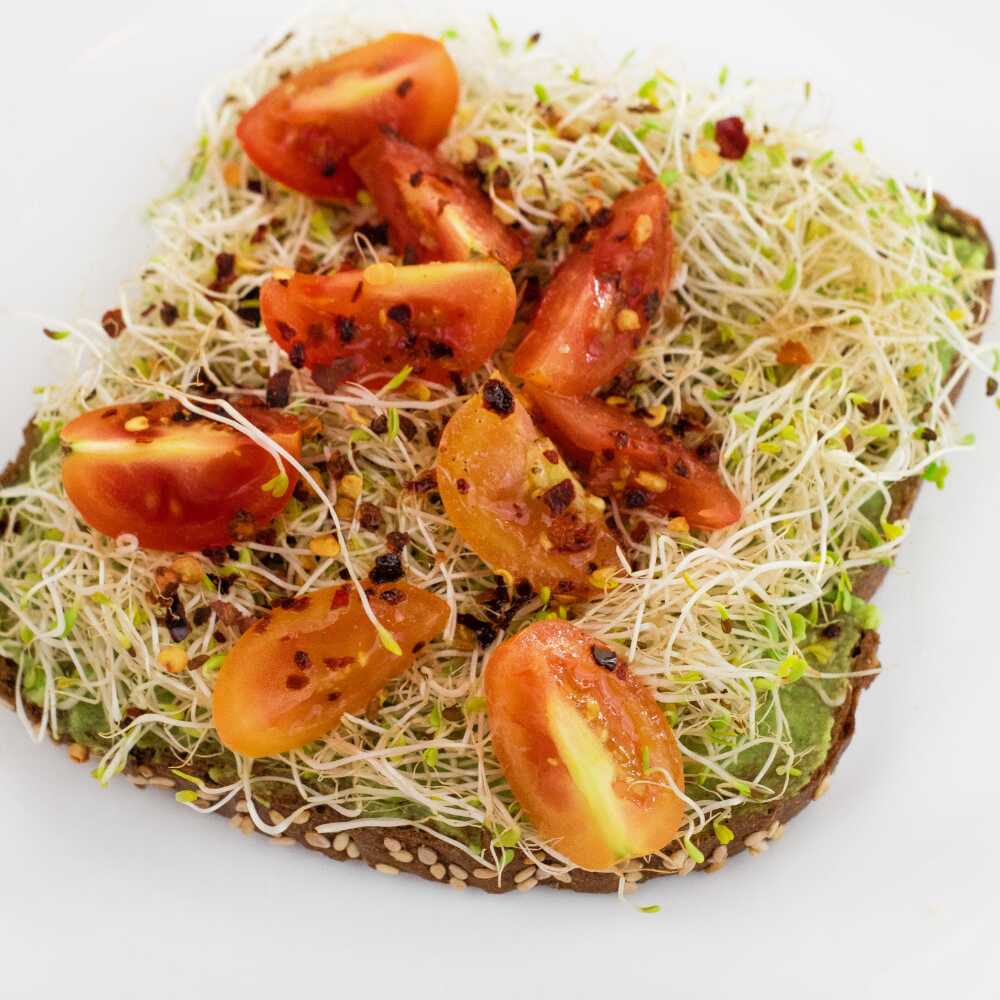 Avocado Toast