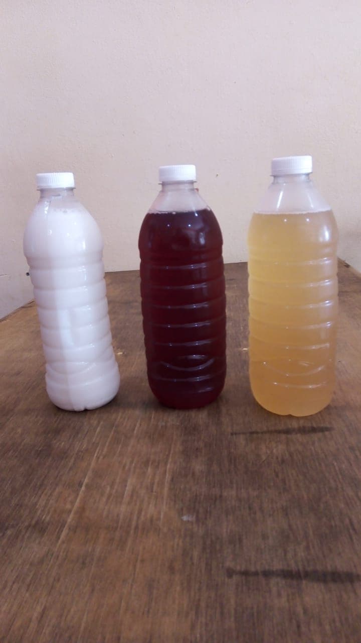 Agua de Sabor