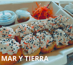 Mar y Tierra